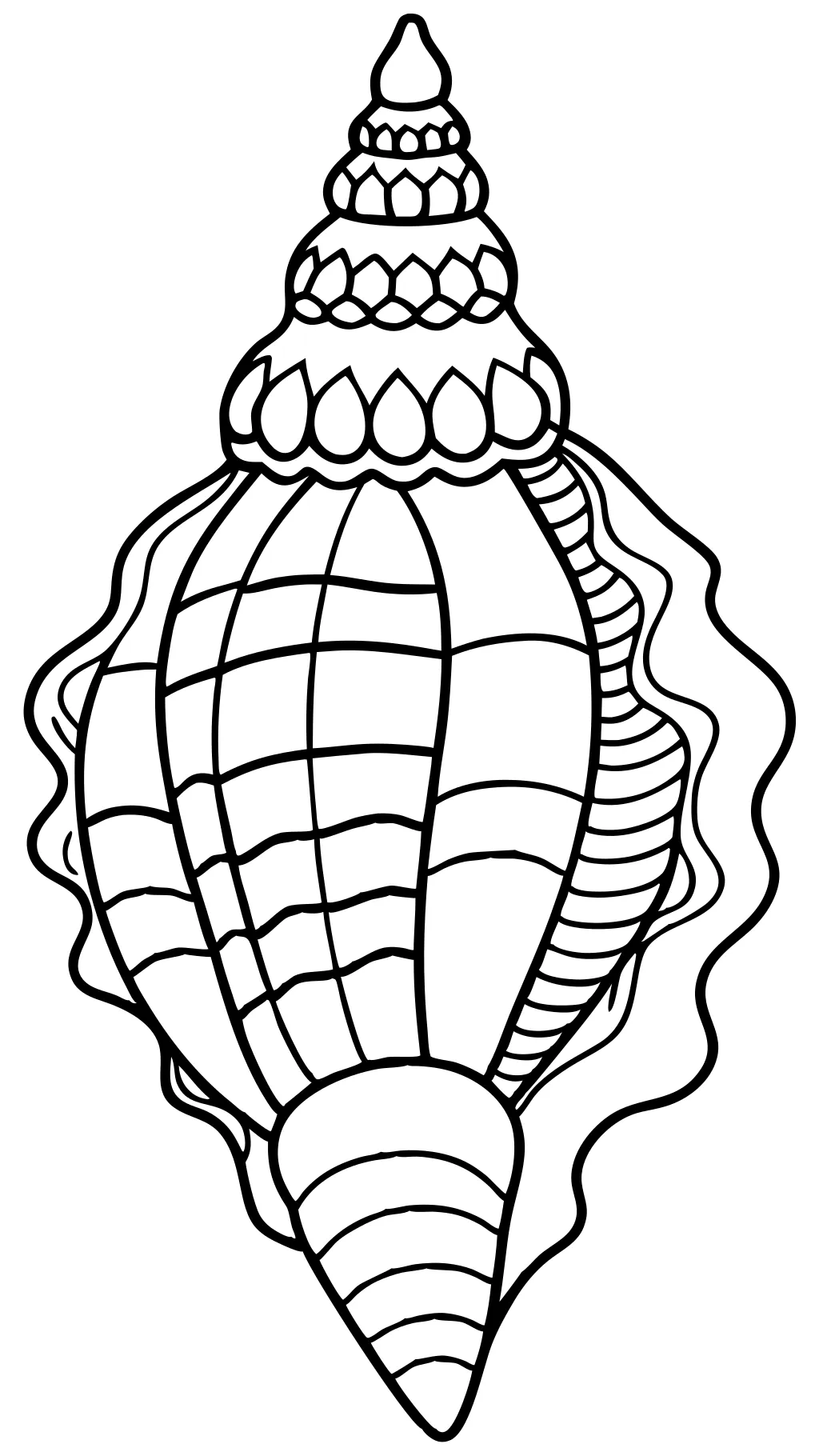 seashell coloring pages